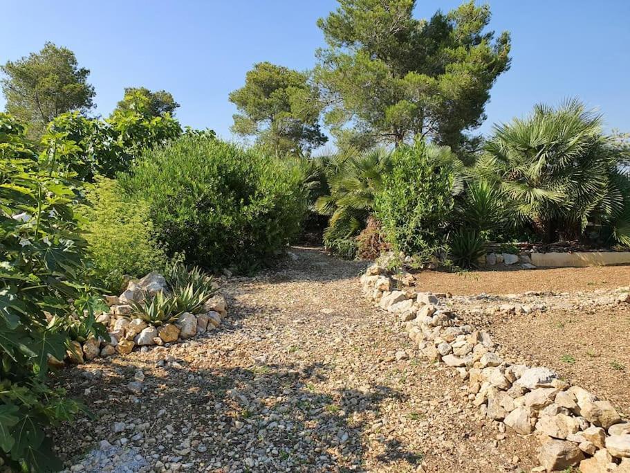 Le Petit Paradis Olivella Luaran gambar